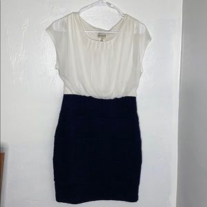 WHITE & BLUE Sz 10 Tule and Lace Mini Dress
